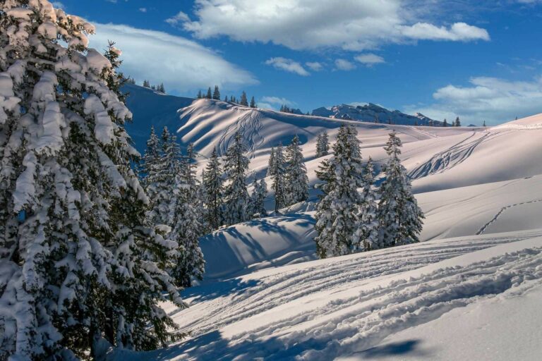Obóz narciarsko – snowboardowy UEK semestr 2023-24 Lato